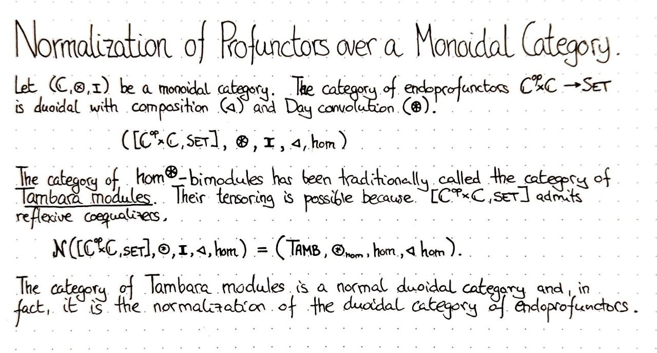 normalization-of-profunctors-over-a-monoidal-category