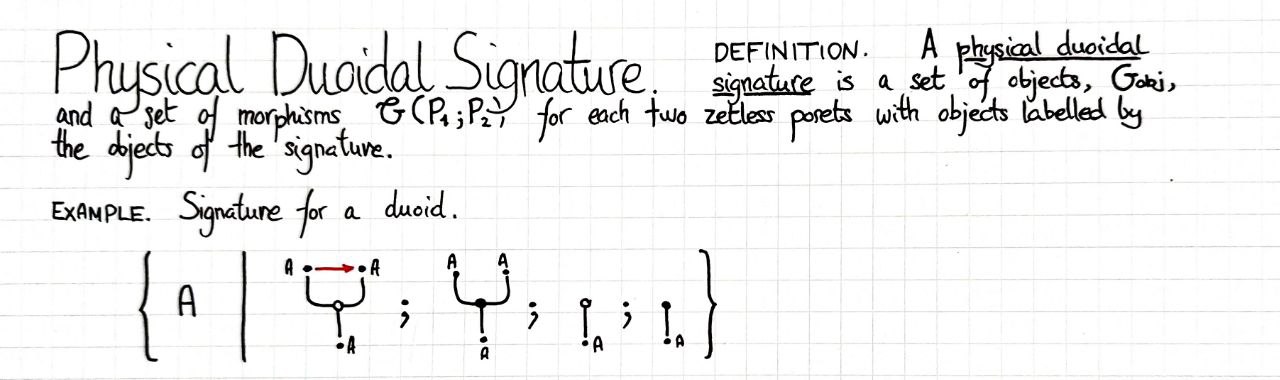 physical-duoidal-signature