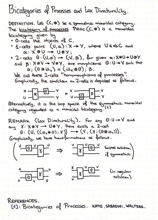 bicategories-of-processes-and-lax-dinaturality