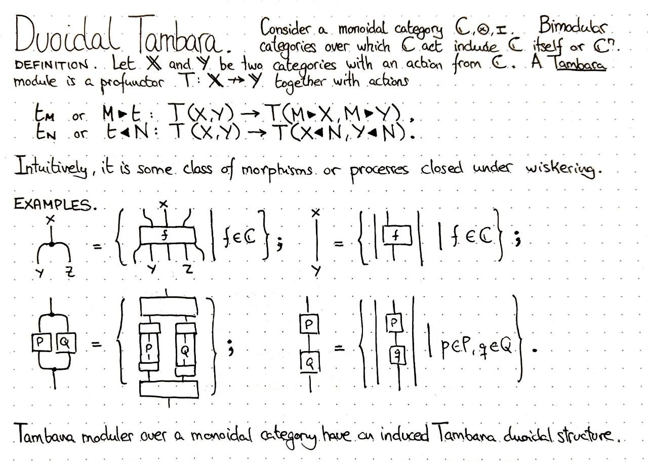 duoidal-tambara