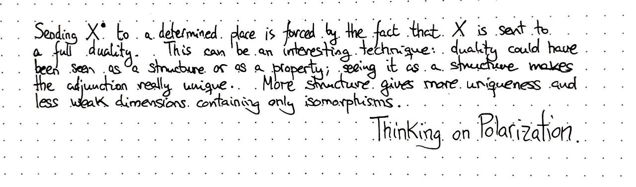 thinking-on-monoidal-polarization