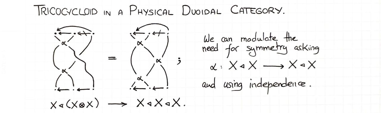 tricocycloid-in-a-physical-duoidal-category